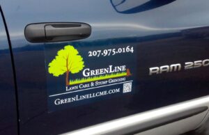 Read more about the article Car Magnets