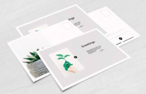 Read more about the article Post Cards